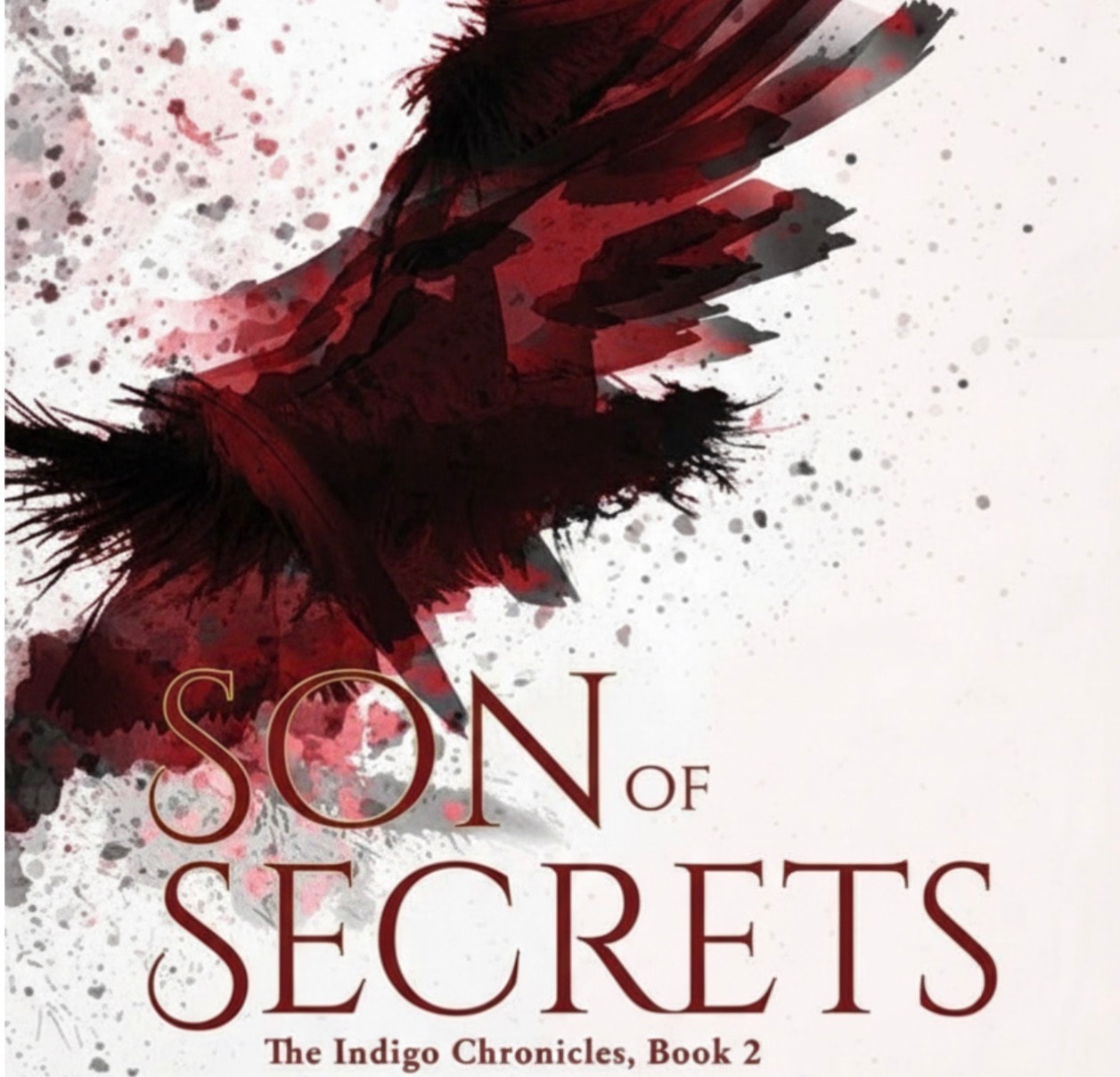 Son of Secrets by N.J. Simmonds